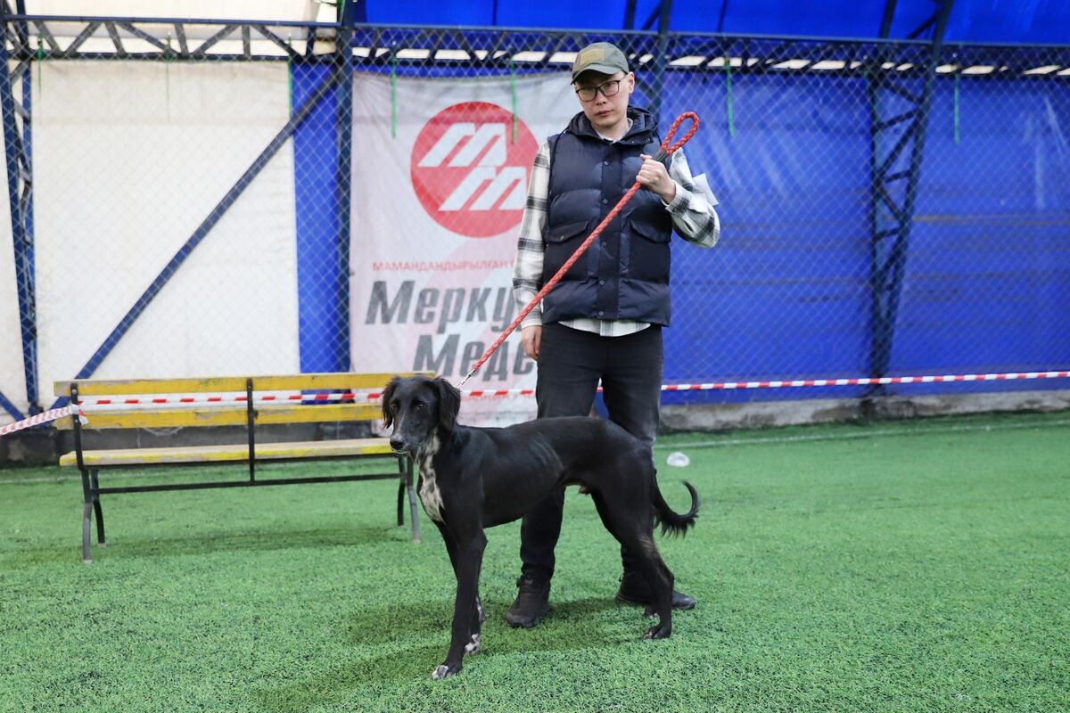 Чистая линия – Фото №14 Чистая линия – Фото №14