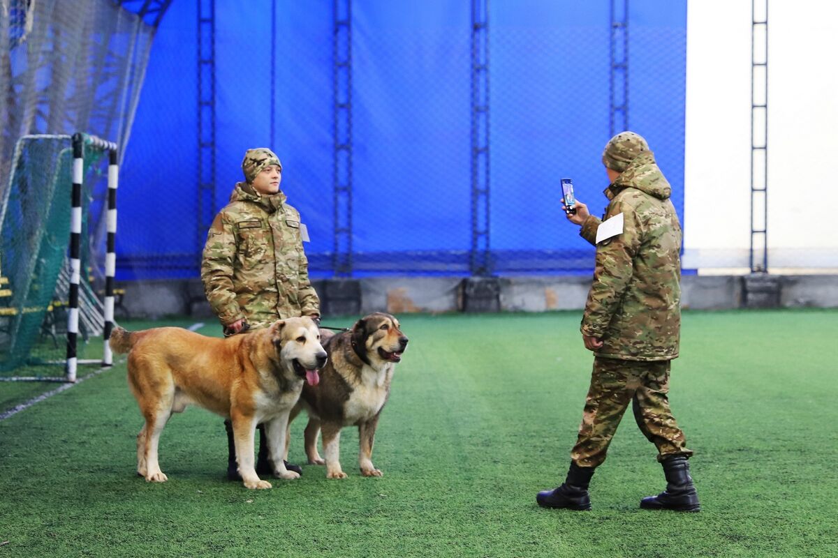 Чистая линия – Фото №2 Чистая линия – Фото №2