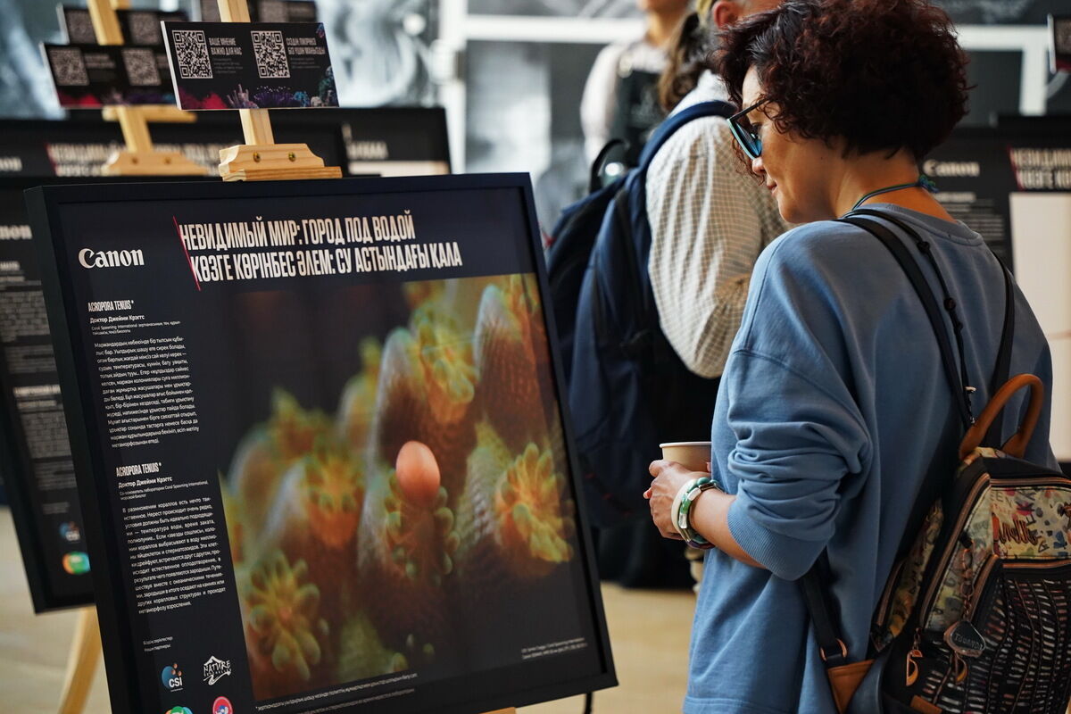 Невидимый и хрупкий – Фото №11