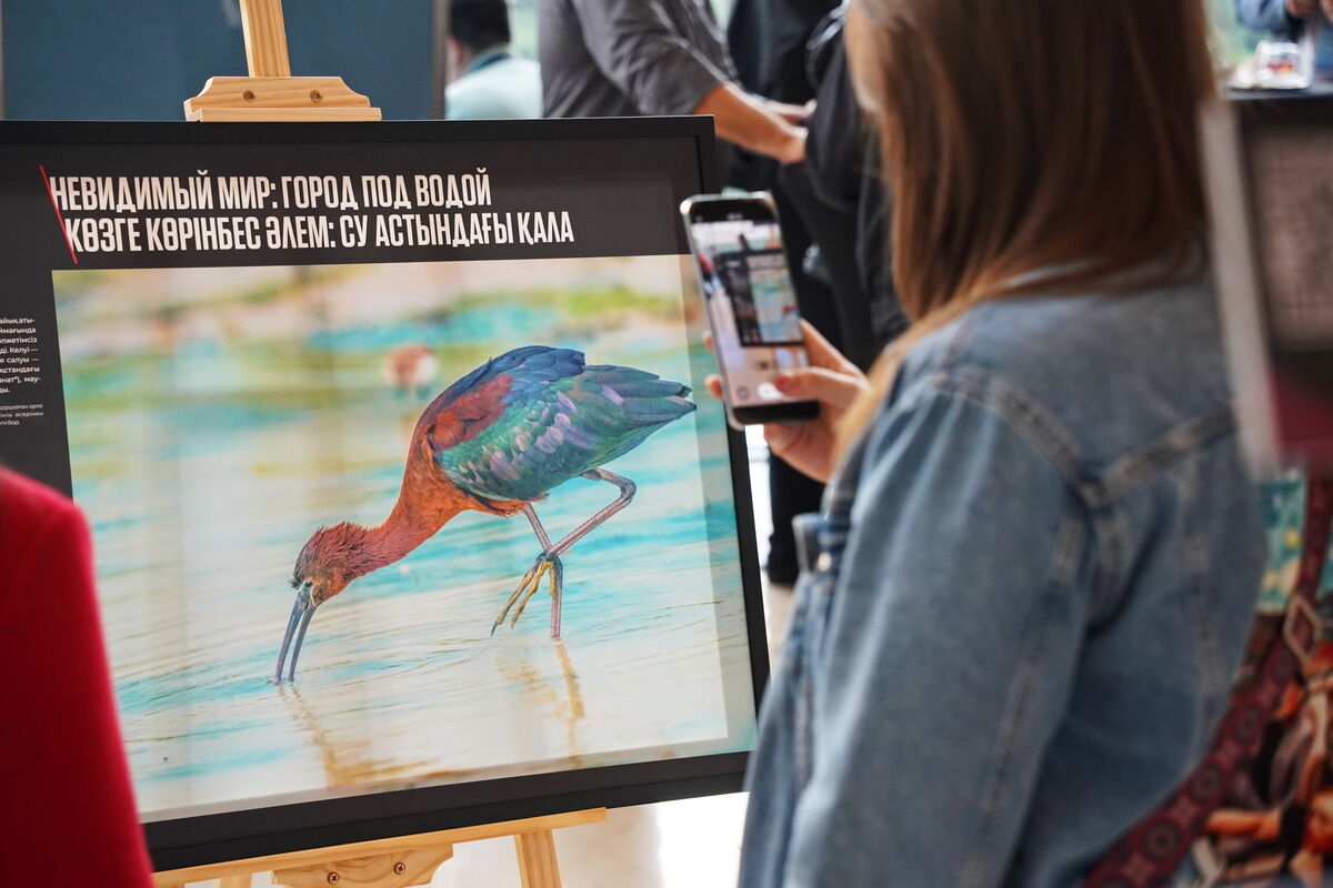 Невидимый и хрупкий – Фото №6