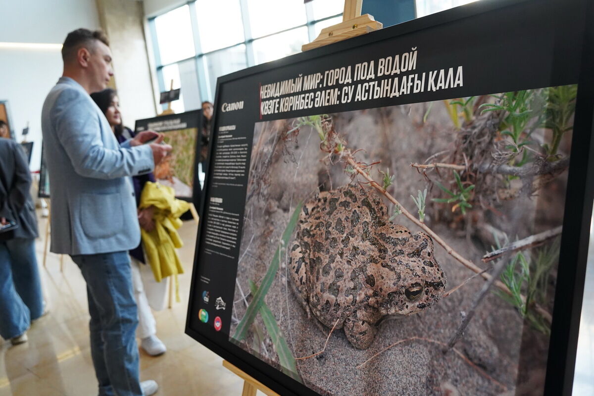 Невидимый и хрупкий – Фото №8