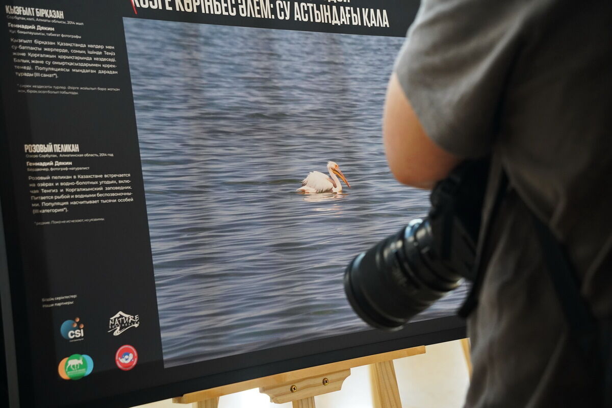 Невидимый и хрупкий – Фото №5