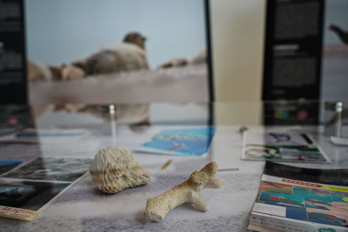 Невидимый и хрупкий – Фото №13