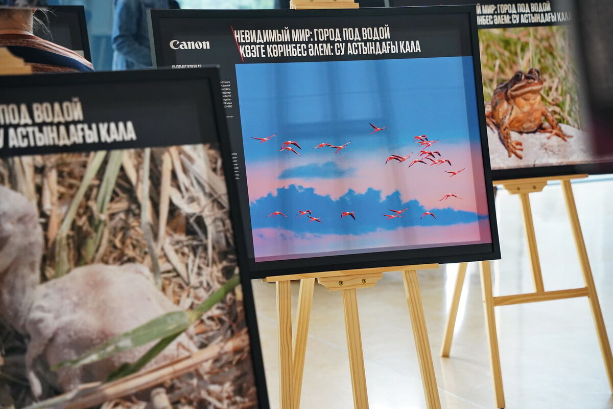 Невидимый и хрупкий – Фото №10