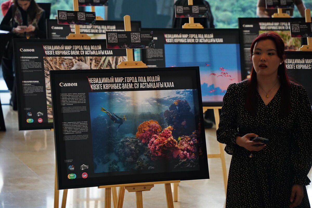 Невидимый и хрупкий – Фото №16