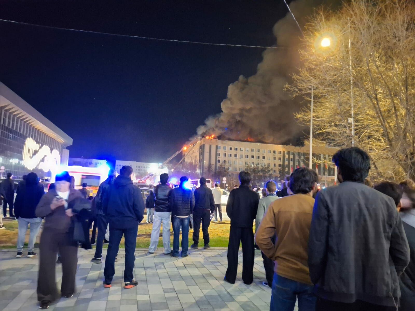 Яркая ночь – Фото №6