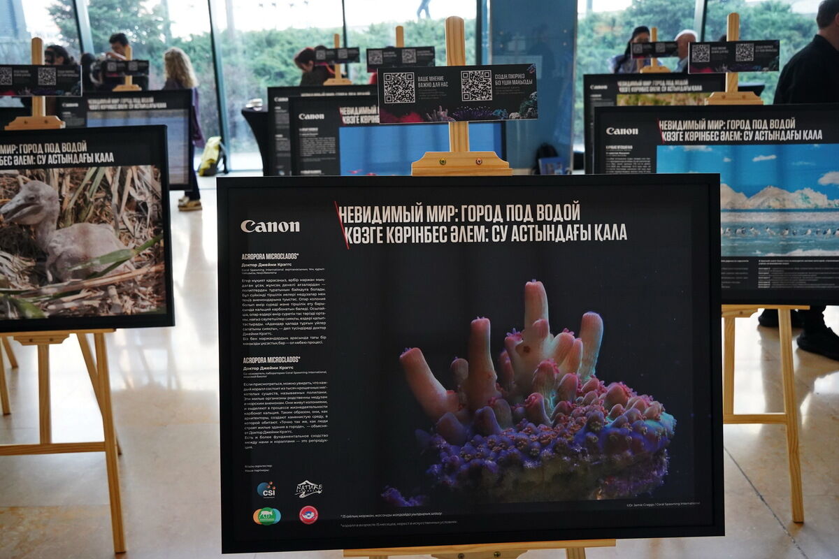 Невидимый и хрупкий – Фото №12