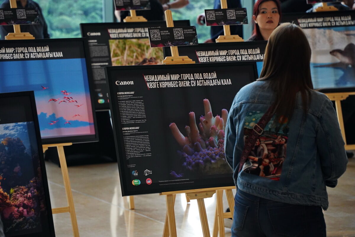 Невидимый и хрупкий – Фото №15