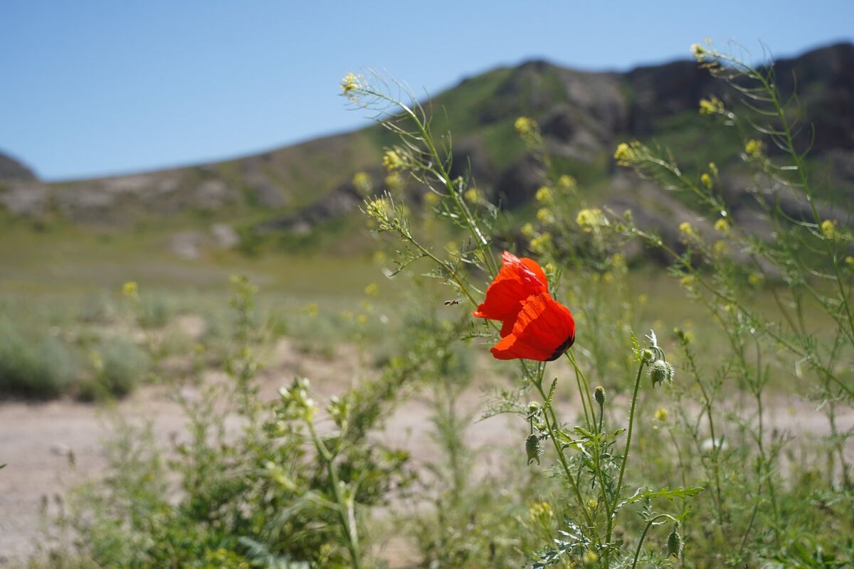 Все в связке – Фото №8