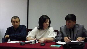 Покушение  или хулиганство?