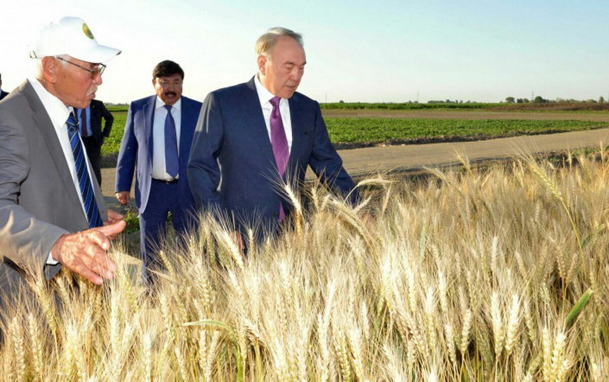 К земле - с умом