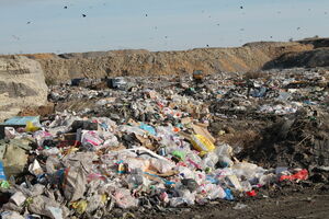 Погрязли в мусоре