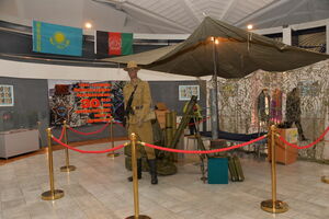 Забытая война