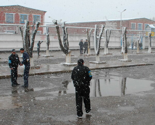 Позвольте им выйти!