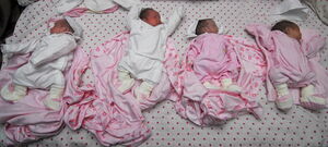 Семеро по лавкам