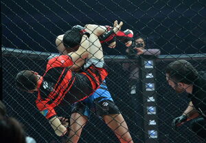 “Перуанский галстук” - оружие победителя