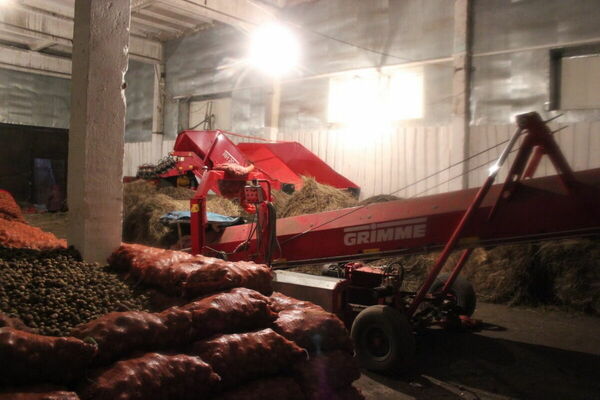 Вырастили на свою голову