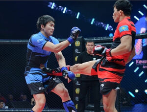 Боец невиданного фронта