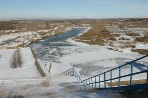 Готовы к водным процедурам