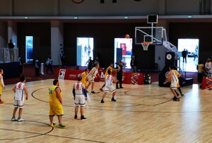 Эмираты аплодируют казахстанским спортсменам