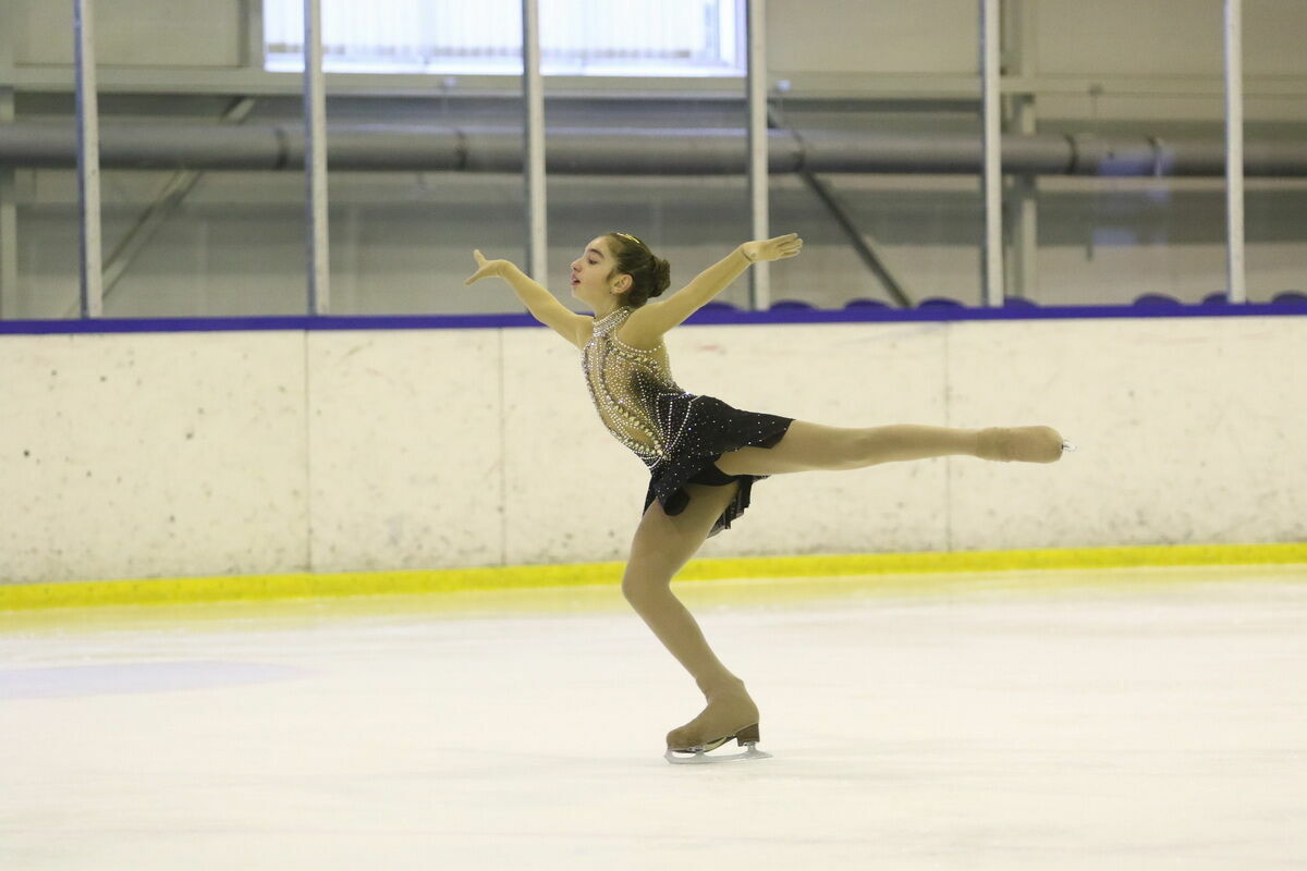 Ход коньком