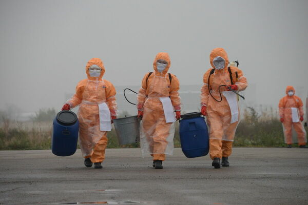 Клопы выживут. А люди?