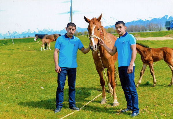 Месть отморозка