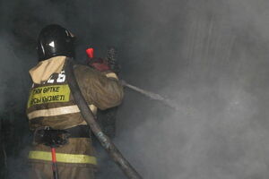 Вынесли из огня, но не всех