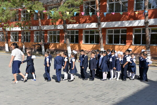 Возьмите меня в школу!