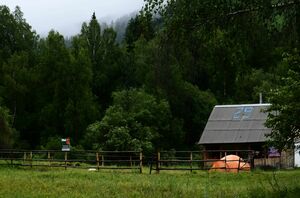 Отдыхаем в КZ