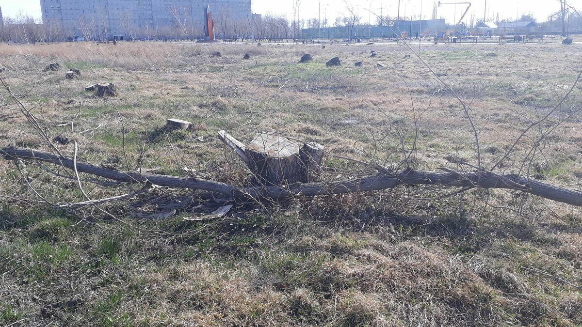 Скажи мне правду, акимат