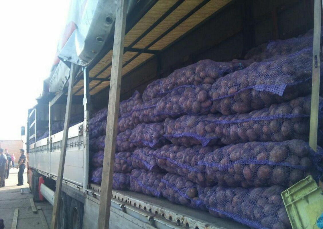 Джентльмены удачи