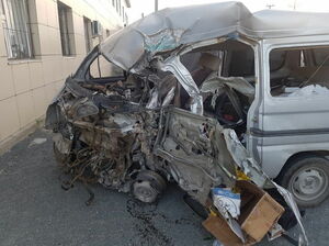 Ни стыда, ни совести