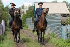 Преграда для скотокрада,