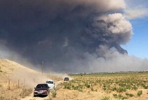 Будем знать, из чего выбирать