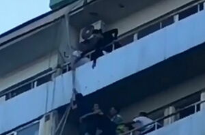 Вовремя подоспели