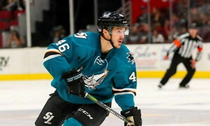 Заокеанская акула