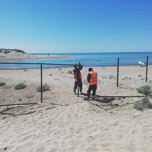 Загорать можно только под забором