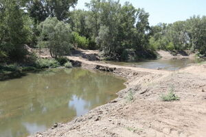 Рубанули с плеча