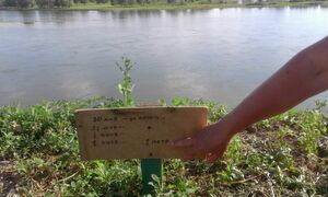 На всё  воля божья?