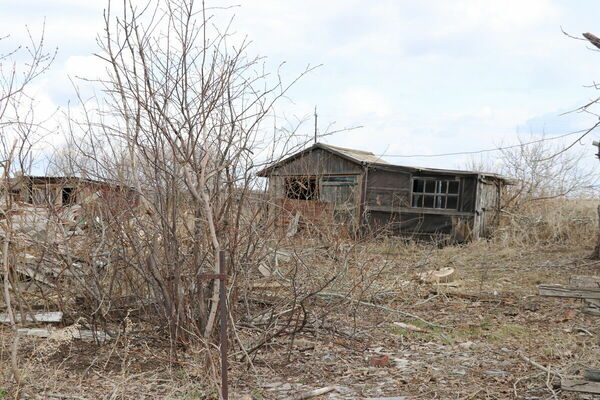 Вот моя деревня