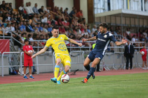 Рука Дугалича