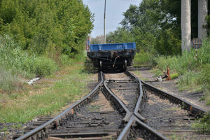 Обоюдоострый меч Фемиды