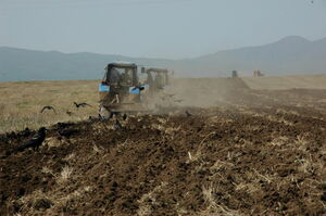 Возрождение  из утиля