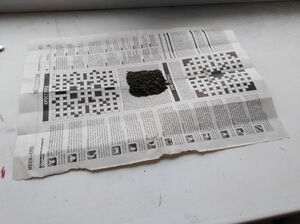 Литу  не обманешь