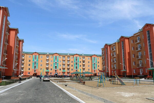 Динамика роста