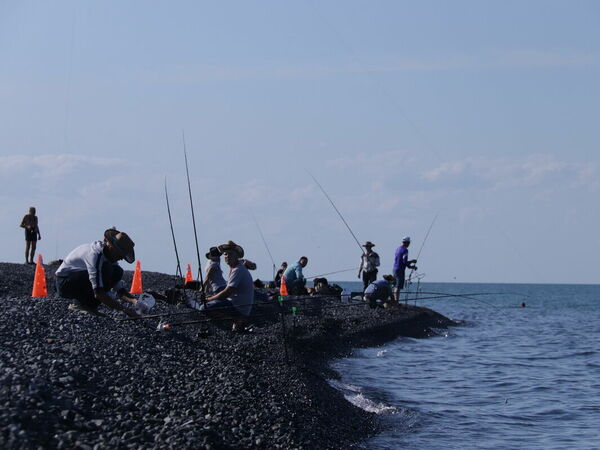 На безрыбье...