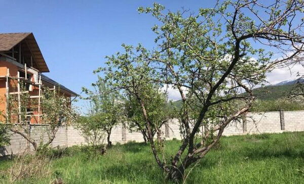 Земельная прописка