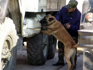 Служба не в счёт