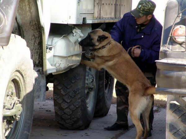 Служба не в счёт